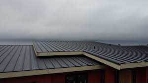 Best Sheet Metal Roofing  in Philadelphia, PA